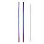 2 Grandes Pailles Cocktail Multicolores Droites