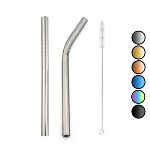 2 Pailles Smoothie Inox Argent