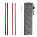4 Pailles en Acier Inoxydable Droites Rouge