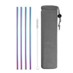 4 Pailles en Acier Inoxydable Droites Multicolore