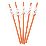 5 Pailles Halloween Squelettes (Réutilisables) Orange Citrouille