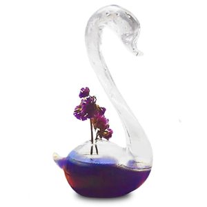 Verre à Cocktail Cygne Cygne Mâle