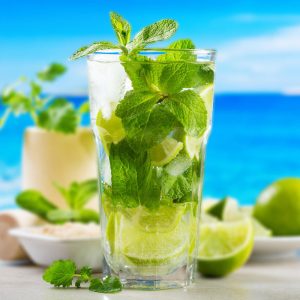 Verre Cocktail Mojito Default Title